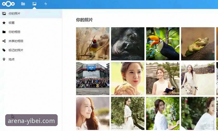 易倍体育平台A3F9版本深度评测：使用教程与功能全面解析